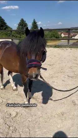 Passionné