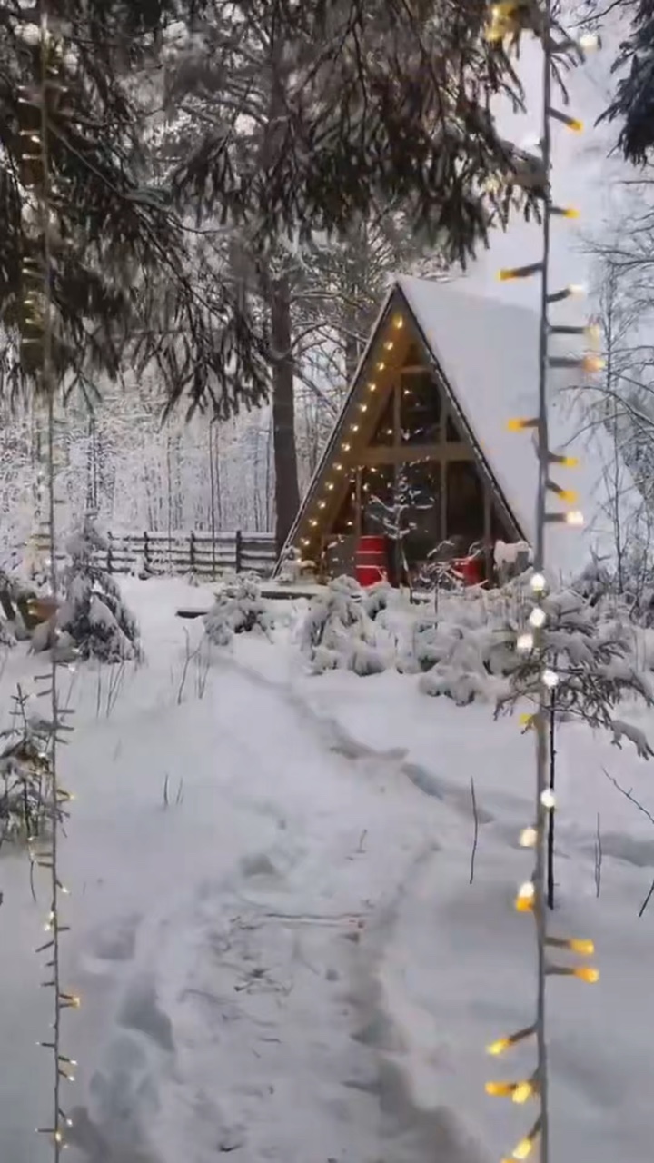 Vibraciones navideñas 🎄