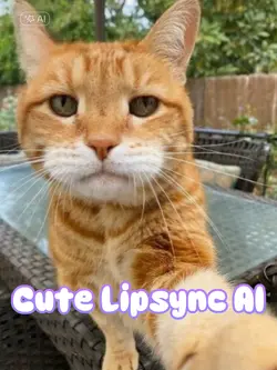 Cat Lipsync AI