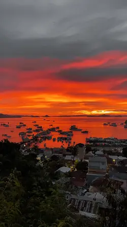 Sunset Vibes