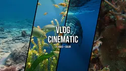 Vlog Cinematic