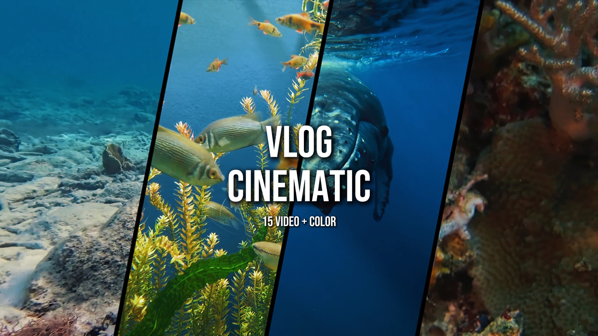 Vlog Cinematográfico