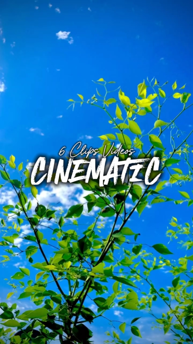 6 Clips Cinématique