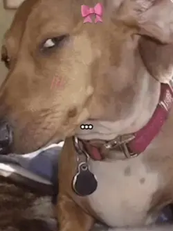 5reasonwhyushoulddat