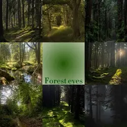 Forest eyes