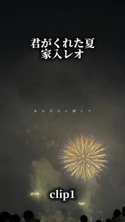 君がくれた夏/家入レオ