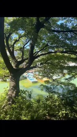 夏にぴったりな曲🎵📷✨🧩