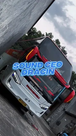 SOUND CEO DRACIN