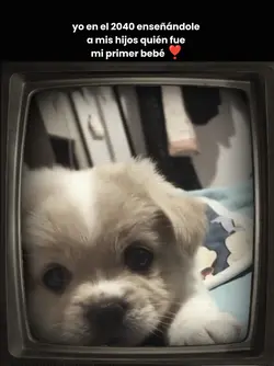 mi mascota, amor