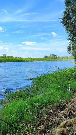mời em ghé thăm