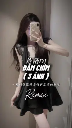 Đắm Chìm Remix 3 Ảnh