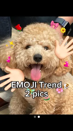 Emoji Hand Trend
