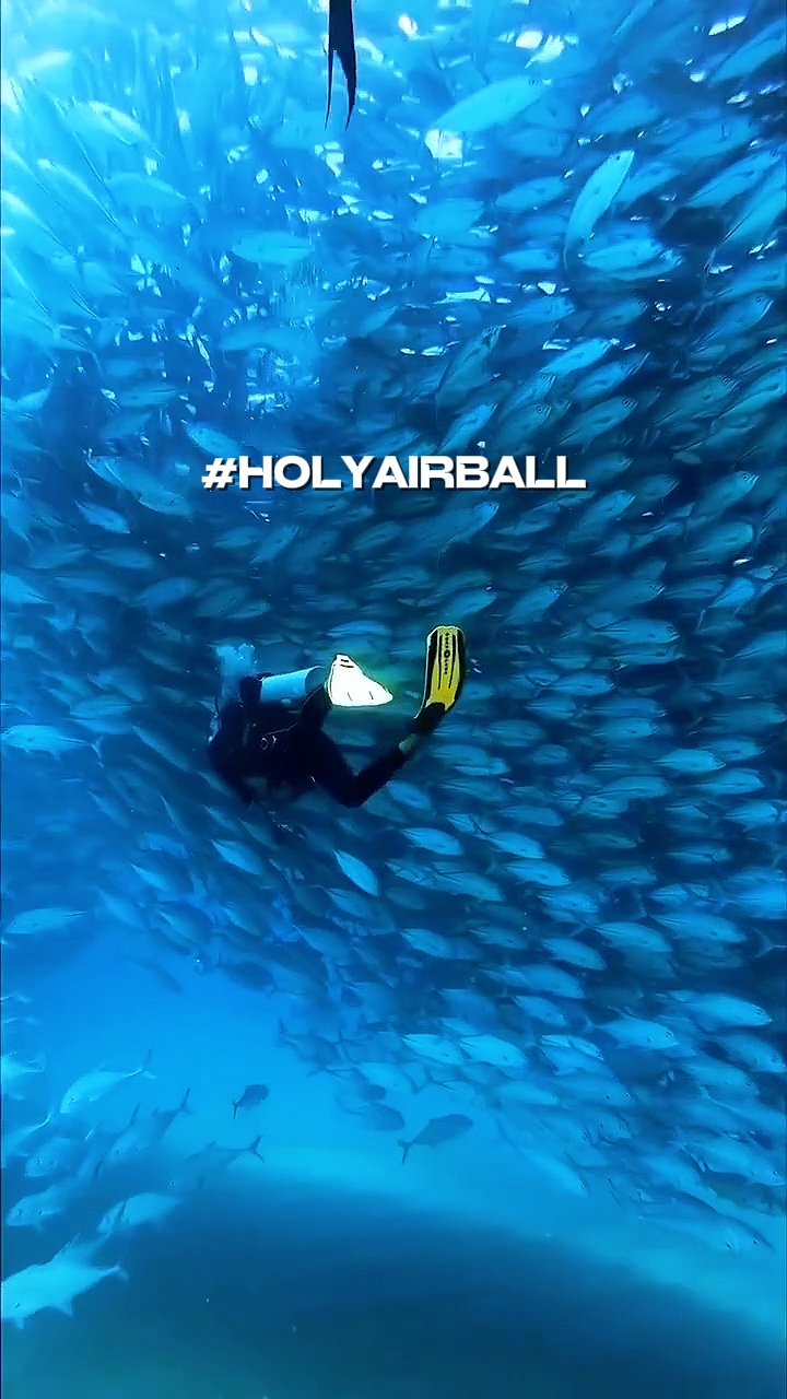 plongée holyairball