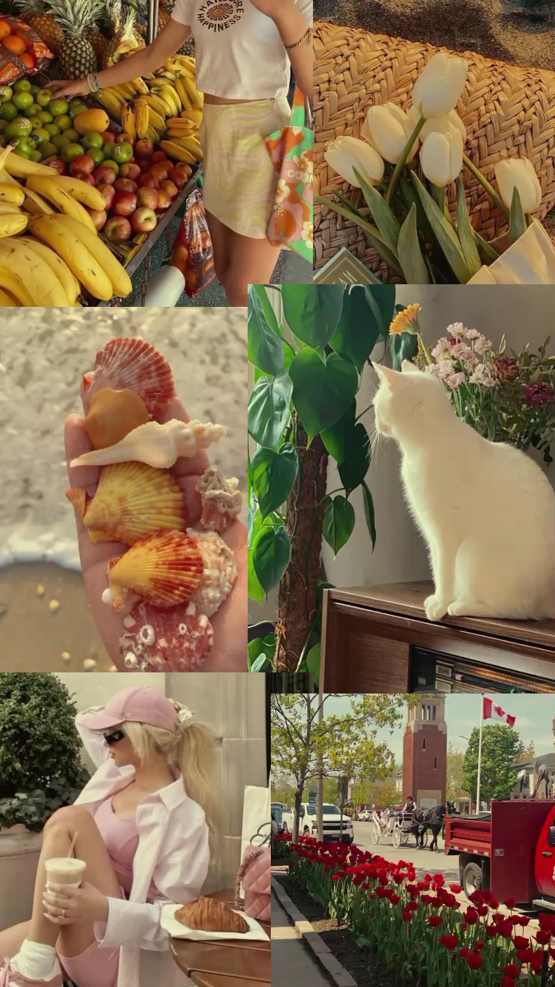 August dump