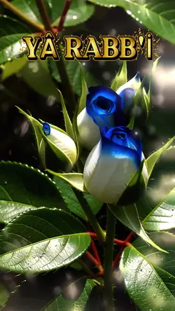 Hayırlı Kandiller