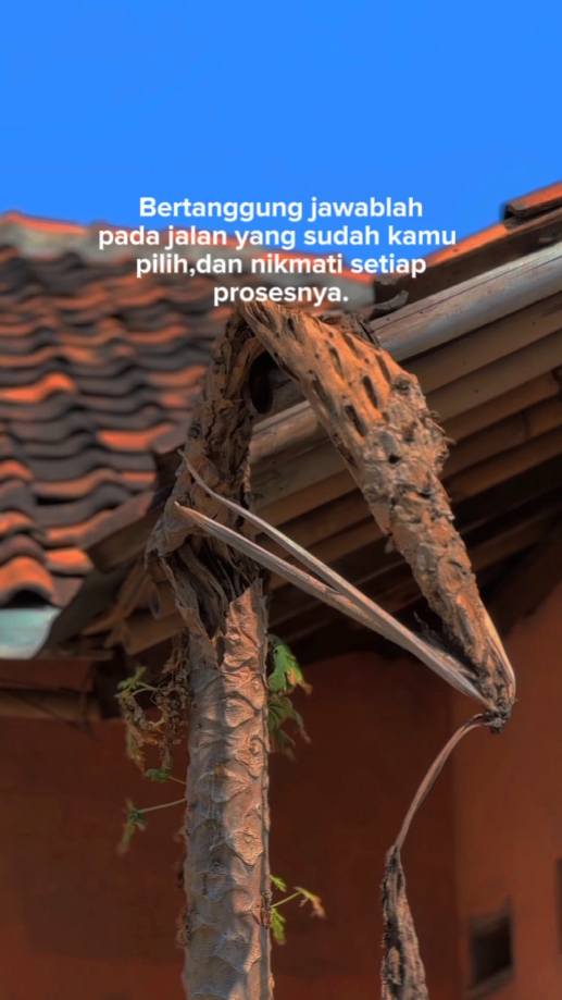 BahanSW