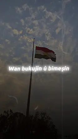 WEK ŞERAN 