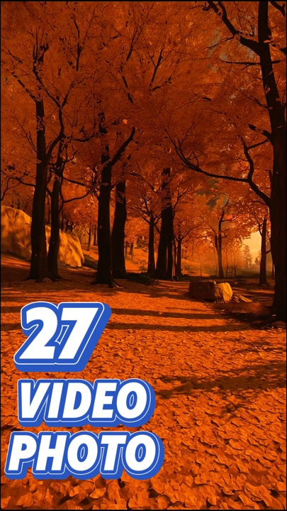 27 video atau foto 