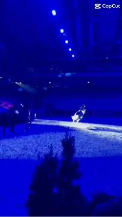 The horseshoe😭