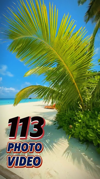113 video or photo 