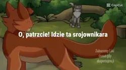 W-O-J-O-W-N-I-K-A-R-