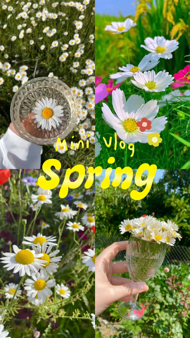 Mini vlog