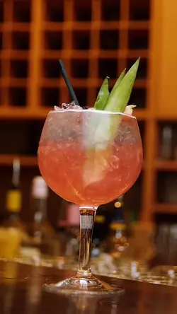 🍹🍹 🍹🍹