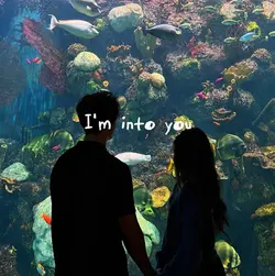 i’m into you