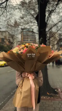 Mini Vlog