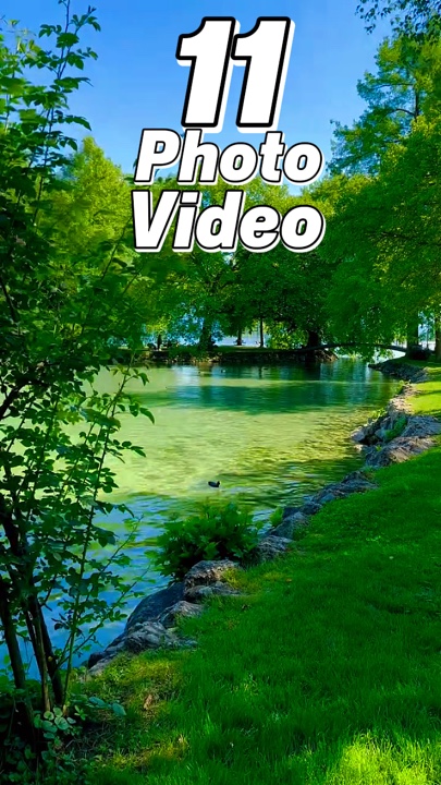 11 Clip oder Foto 