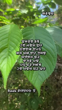 Capcut 하루명언 좋은사람