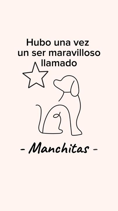 Perrito en el cielo🙏