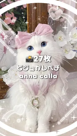 🎵ビジュがレベチ