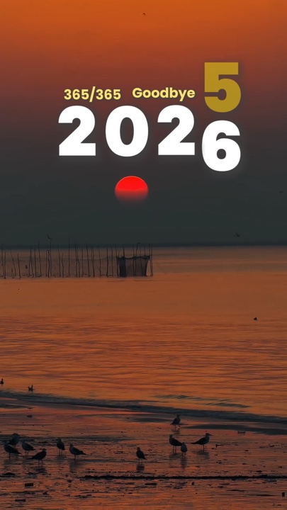 Adiós 2025 