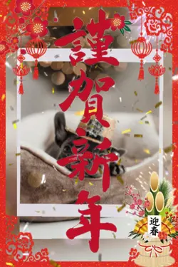 謹賀新年/新年ご挨拶/1clip