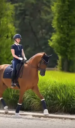 SLOWMO DRESSAGE😻😻