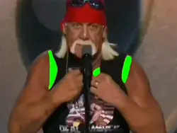 trumpamania long big