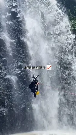 adrenaline