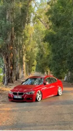 Ücretsiz Şablon ✨