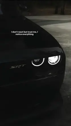 Notice everything 