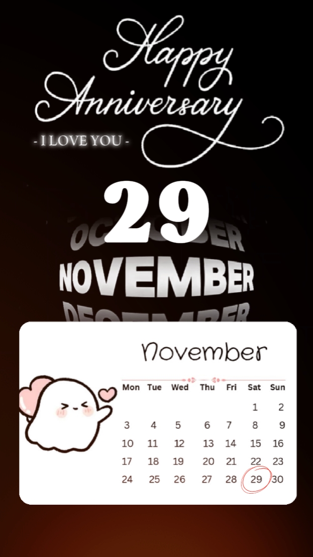 ANNIV 29 DE NOVIEMBRE