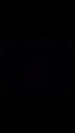 enge katten verhalen