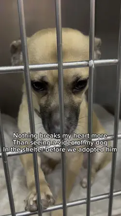 Poor baby…