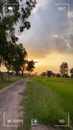 บรรยากาศทุ่งนาตอนเย็น