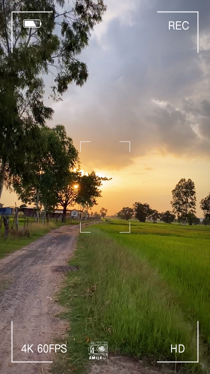 บรรยากาศทุ่งนาตอนเย็น