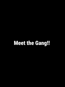 meet the gang