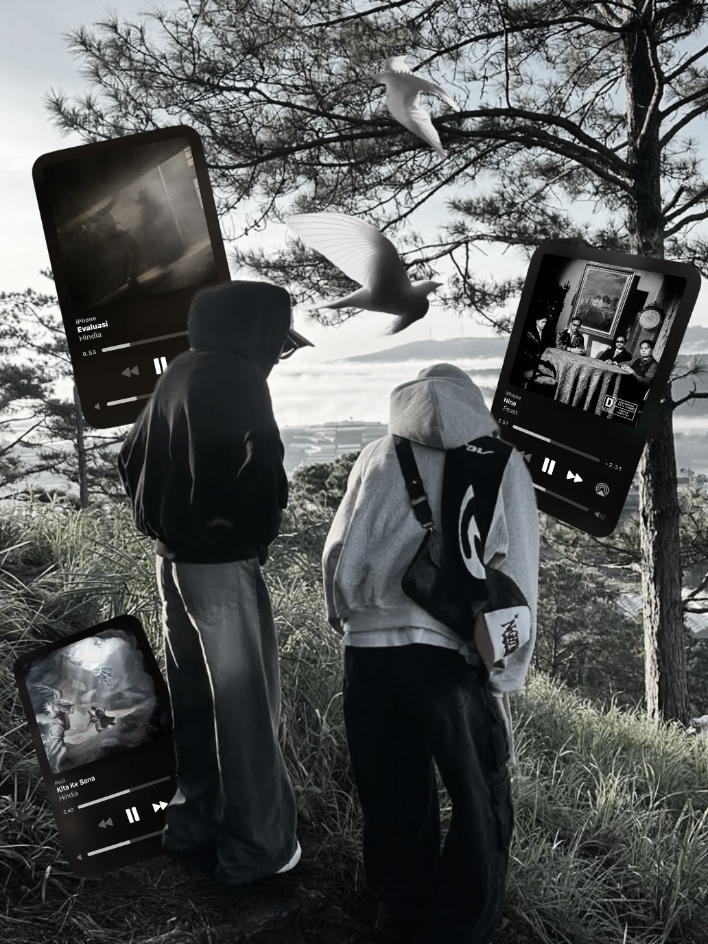 Cover Picture