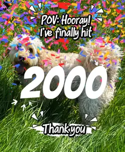 Hit 2k followers
