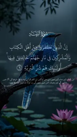 Surah Bayyinah