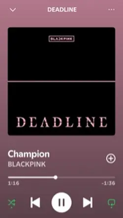 Champion BlackPink